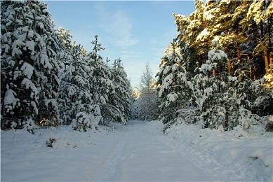 巧合？任天堂eShop计划维护时间暗示直面会或将举行