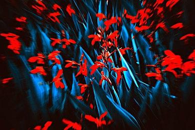 《鬼谷八荒》Steam创意工坊5月底开启 大版本6月更新